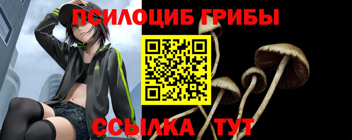 Тавда  Галлюциногенные грибы GOLDEN TEACHER  где купить наркотик  Вход с VPN 