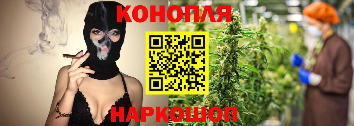 Бошки Шишки конопля  Бошки марихуана THC 21%  Вход с VPN  Конопля THC 21%  Тавда 